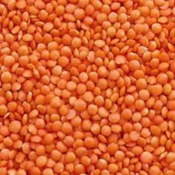 Masoor Dal